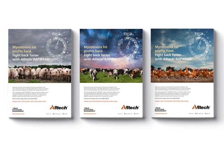 Alltech design examples