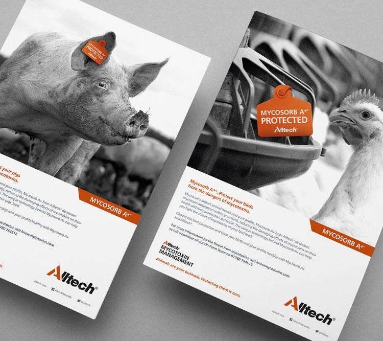 Alltech design examples
