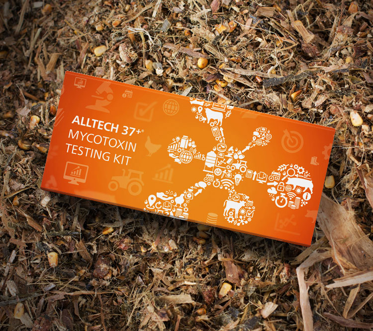 Alltech test kit
